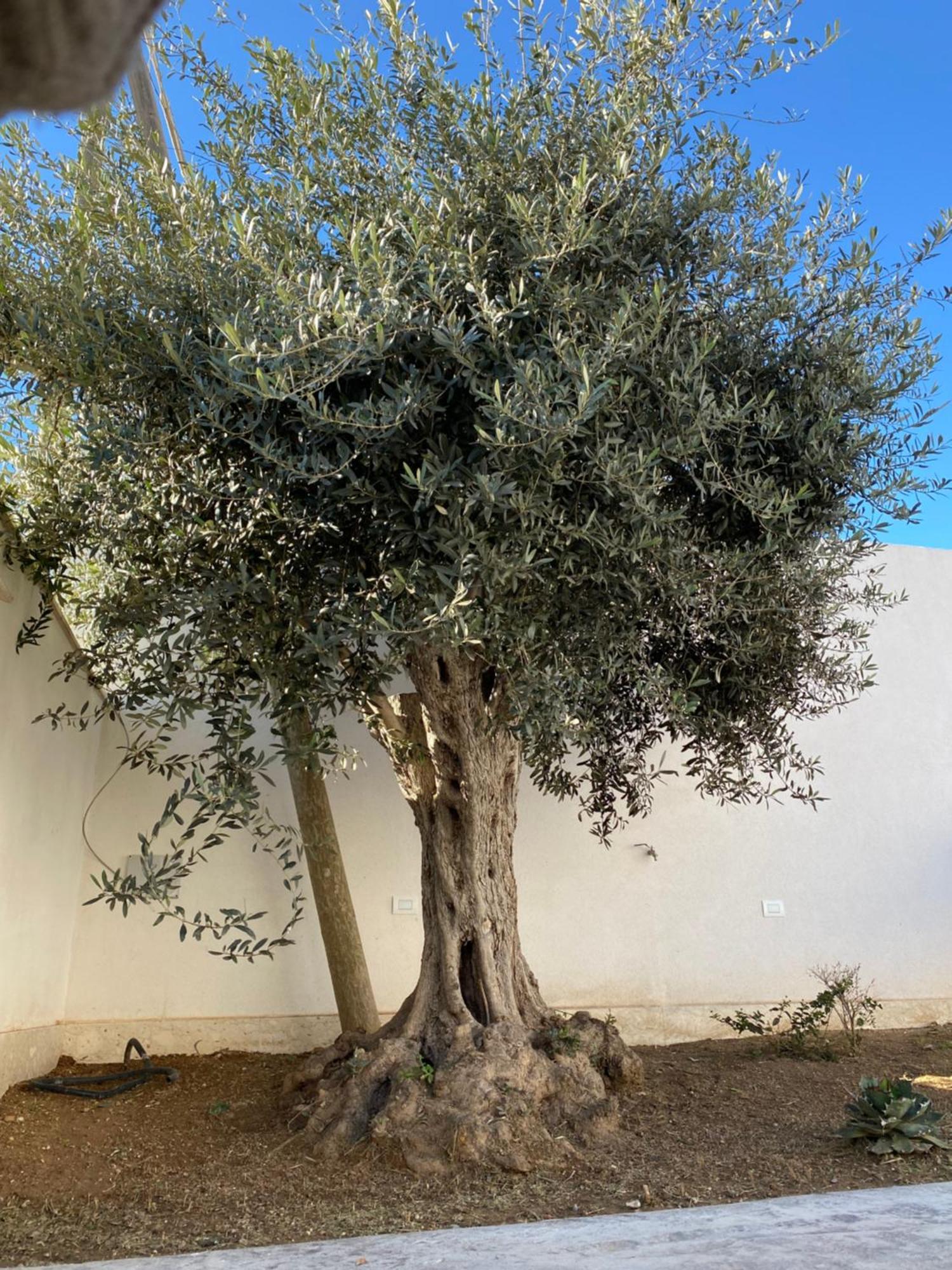 Da Mariano Apartments Mazara del Vallo Εξωτερικό φωτογραφία